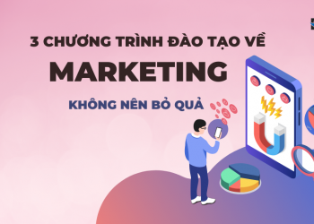 Tổng hợp 3 chương trình đào tạo tại EBO mà bạn không nên bỏ qua