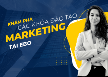 Khám phá các khóa đào tạo Marketing tại EBO